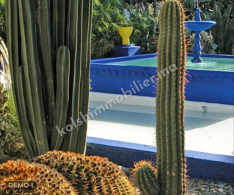 Villa contemporaine avec piscine — Marrakech