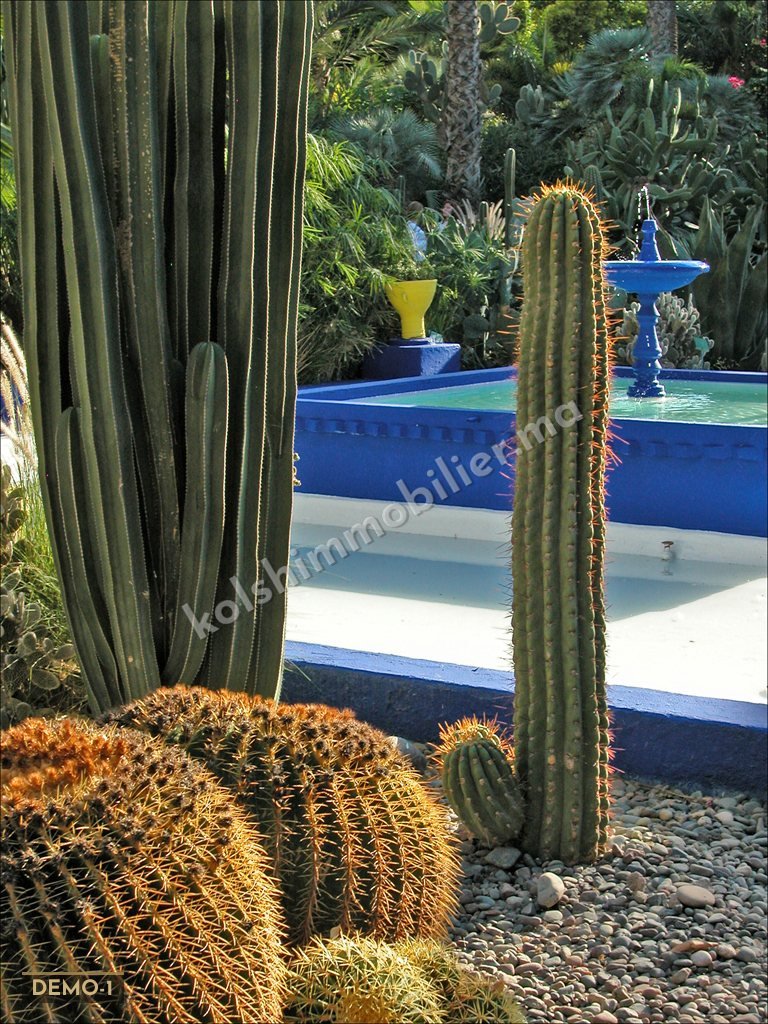 Villa contemporaine avec piscine — Marrakech